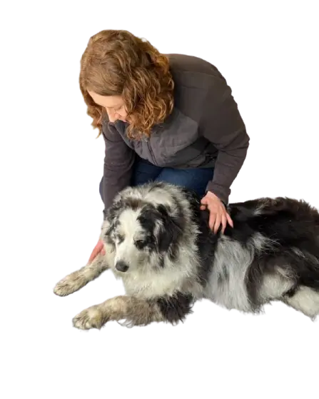 Cindy réalise une séance de shiatsu pour chien