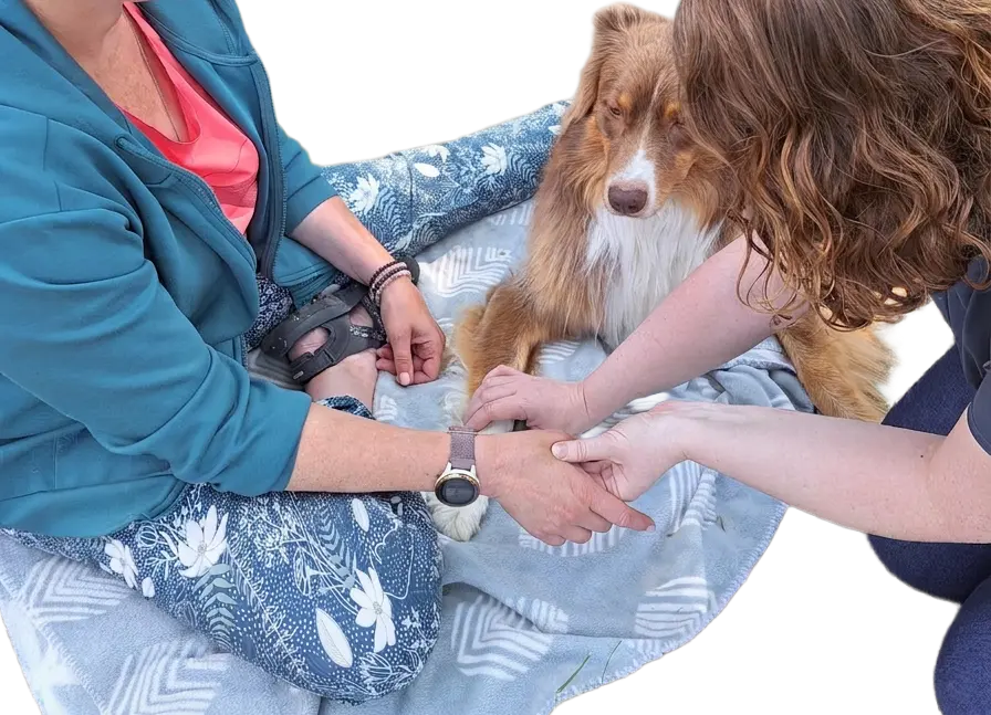 séance de shiatsu duo, shiatsu canin et shiatsu humain