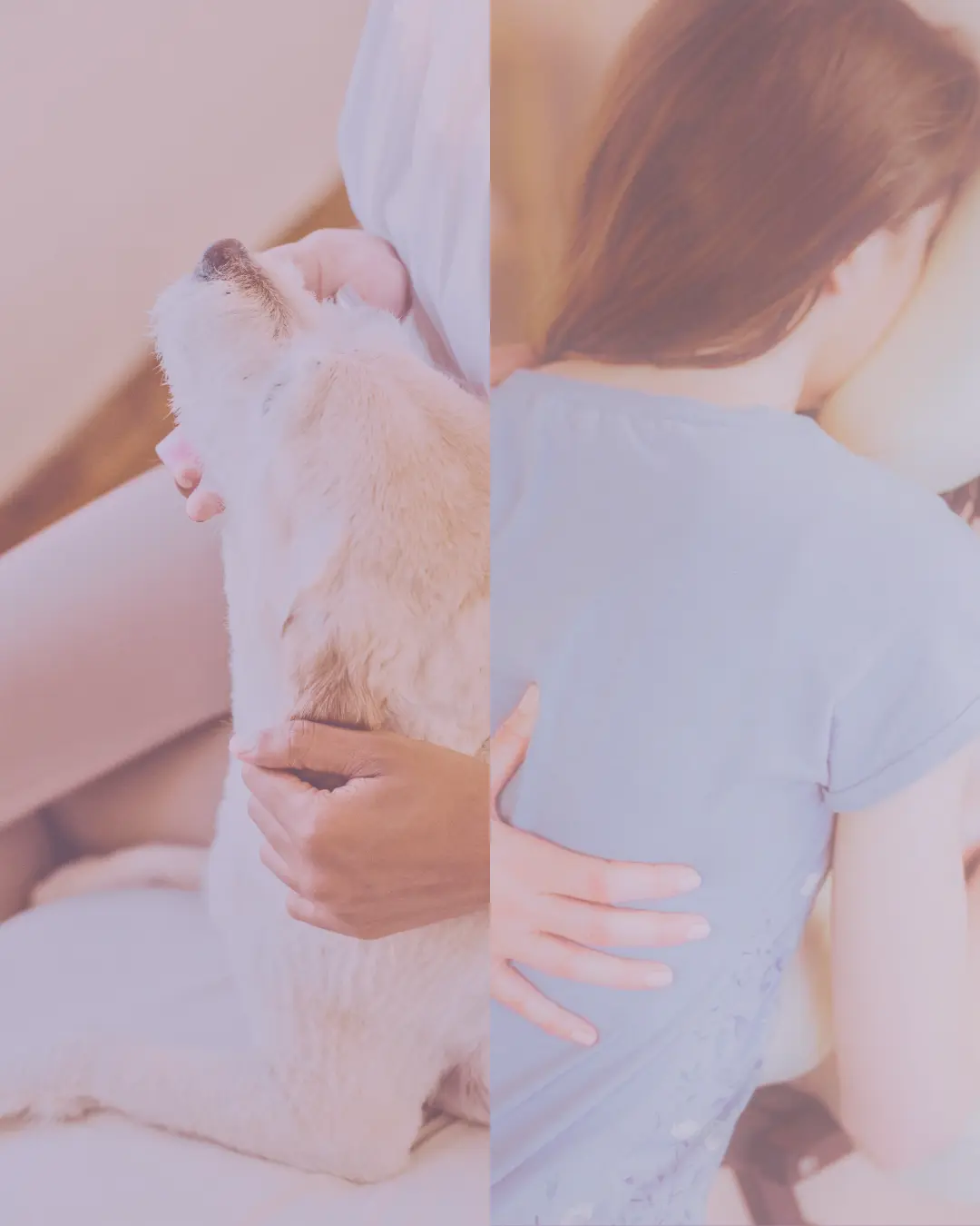 Séance shiatsu duo : shiatsu animalier et shiatsu humain